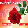 Puzzle Craze - Rose Garden