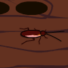 Roach Splatter